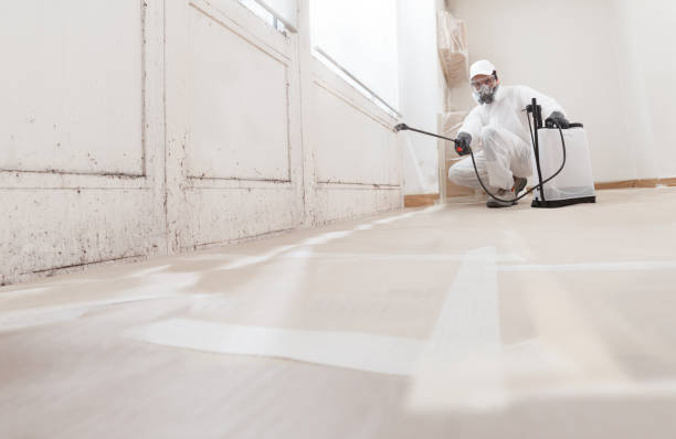 24/7 Emergency Crawl Space Mold Remediation experts in Markham, VA