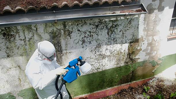 Top rated local Crawl Space Mold Remediation specialists in Markham, VA
